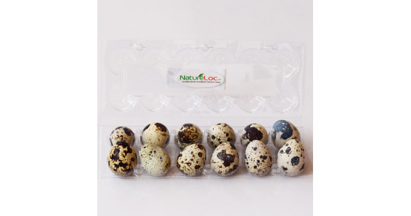 Buy Quail Eggs Online | Kada Mutta -NatureLoc
